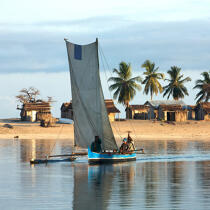 Belo sur mer © Philip Plisson / Plisson La Trinité / AA20447 - Nos reportages photos - Bateau à rames