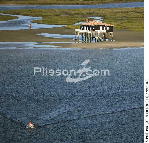 L'île aux Oiseaux dans le bassin d'Arcachon. - © Philip Plisson / Plisson La Trinité / AA20460 - Nos reportages photos - Format carré