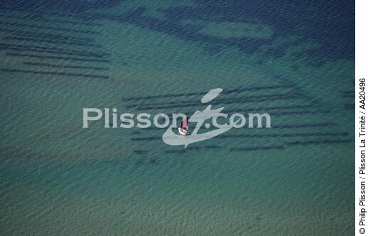 Boat on the River Etel. - © Philip Plisson / Plisson La Trinité / AA20496 - Photo Galleries - River