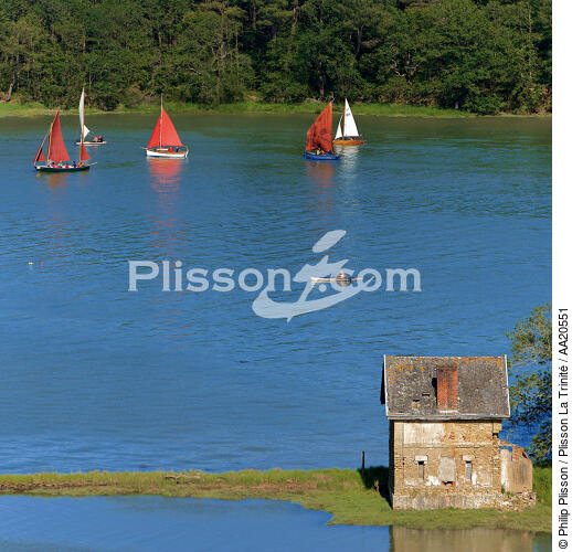 Sur la rivière d'Auray - © Philip Plisson / Plisson La Trinité / AA20551 - Nos reportages photos - Rassemblement