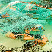 Filets de pêche à Nosy Be. © Philip Plisson / Plisson La Trinité / AA20572 - Nos reportages photos - Pêcheur du monde
