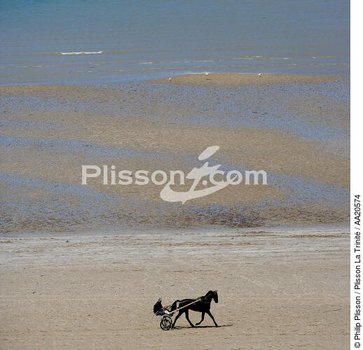 Sulki sur la plage. - © Philip Plisson / Plisson La Trinité / AA20574 - Nos reportages photos - Cheval