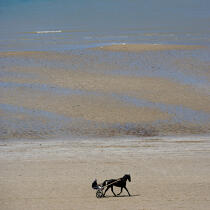 Sulki on the beach. © Philip Plisson / Plisson La Trinité / AA20574 - Photo Galleries - Mammal