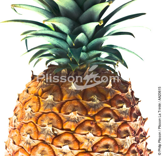 Ananas. - © Philip Plisson / Plisson La Trinité / AA20615 - Nos reportages photos - Format carré