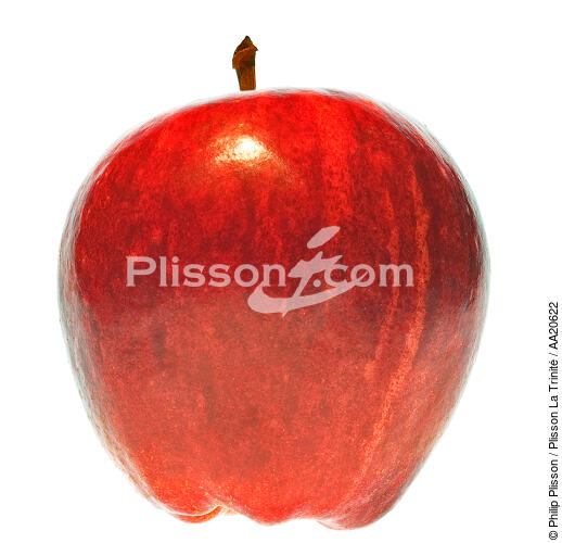 Apple. - © Philip Plisson / Plisson La Trinité / AA20622 - Photo Galleries - Fruit