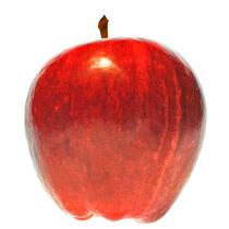 Apple. © Philip Plisson / Plisson La Trinité / AA20622 - Photo Galleries - Fruit