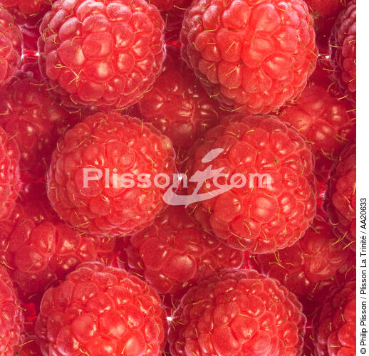 Envie de framboises. - © Philip Plisson / Plisson La Trinité / AA20633 - Nos reportages photos - Fruit