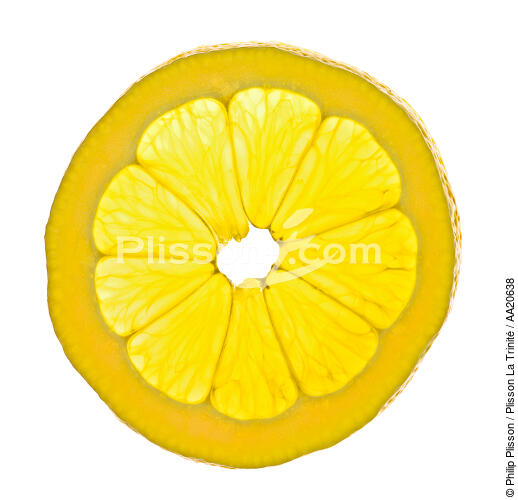 1 fruit - © Philip Plisson / Plisson La Trinité / AA20638 - Photo Galleries - Yellow lemon