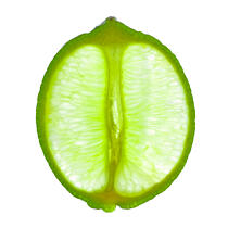 Citrus 3 © Philip Plisson / Plisson La Trinité / AA20639 - Photo Galleries - citrus fruit