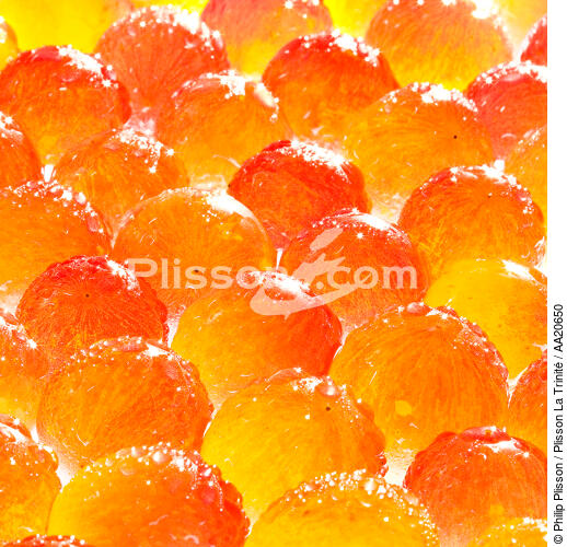 Fruits. - © Philip Plisson / Plisson La Trinité / AA20650 - Nos reportages photos - Format carré