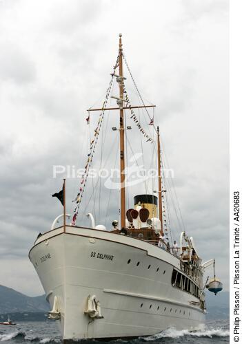 SS Delphine - Classic Week 2005 - © Philip Plisson / Plisson La Trinité / AA20683 - Photo Galleries - Classic Week 2005