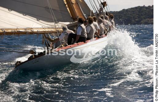 Tuiga the Voiles de Saint Tropez 2008. - © Philip Plisson / Plisson La Trinité / AA20730 - Photo Galleries - Classic Yachting