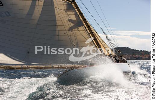 Tuiga the Voiles de Saint Tropez 2008. - © Philip Plisson / Plisson La Trinité / AA20732 - Photo Galleries - Classic Yachting