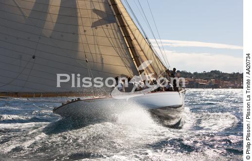 Tuiga the Voiles de Saint Tropez 2008. - © Philip Plisson / Plisson La Trinité / AA20734 - Photo Galleries - Classic Yachting