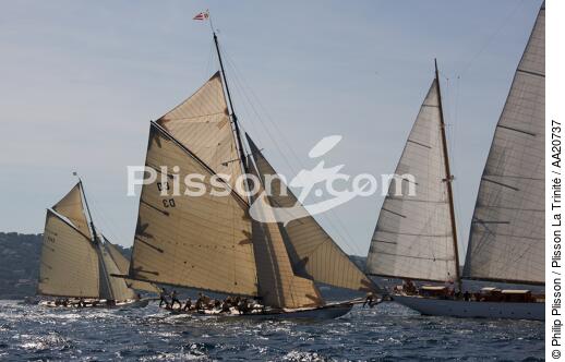 Tuiga the Voiles de Saint Tropez 2008. - © Philip Plisson / Plisson La Trinité / AA20737 - Photo Galleries - Classic Yachting