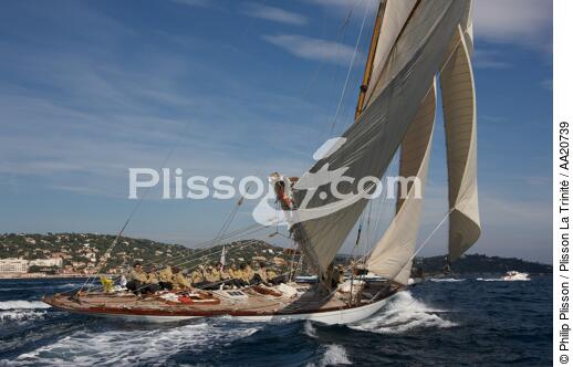 Tuiga the Voiles de Saint Tropez 2008. - © Philip Plisson / Plisson La Trinité / AA20739 - Photo Galleries - Classic Yachting