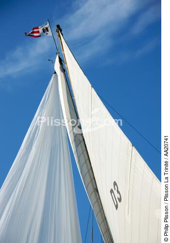 Tuiga the Voiles de Saint Tropez 2008. - © Philip Plisson / Plisson La Trinité / AA20741 - Photo Galleries - Classic Yachting