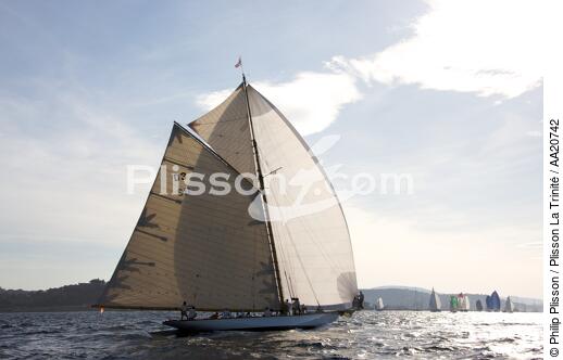 Tuiga the Voiles de Saint Tropez 2008. - © Philip Plisson / Plisson La Trinité / AA20742 - Photo Galleries - Classic Yachting