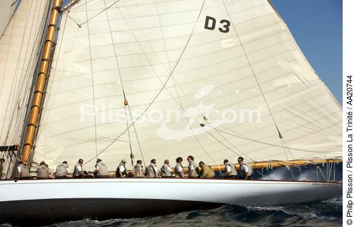 Tuiga the Voiles de Saint Tropez 2008. - © Philip Plisson / Plisson La Trinité / AA20744 - Photo Galleries - Classic Yachting