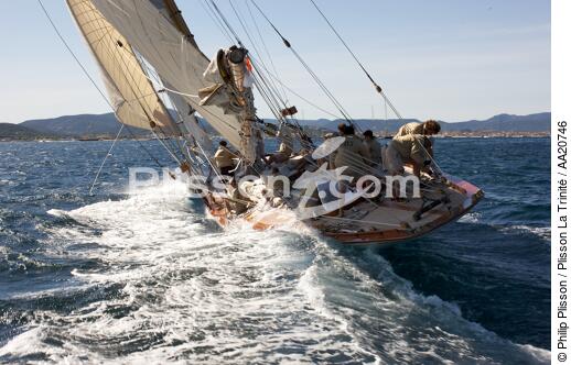 Tuiga the Voiles de Saint Tropez 2008. - © Philip Plisson / Plisson La Trinité / AA20746 - Photo Galleries - Classic Yachting