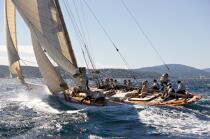 Tuiga the Voiles de Saint Tropez 2008. © Philip Plisson / Plisson La Trinité / AA20747 - Photo Galleries - Classic Yachting