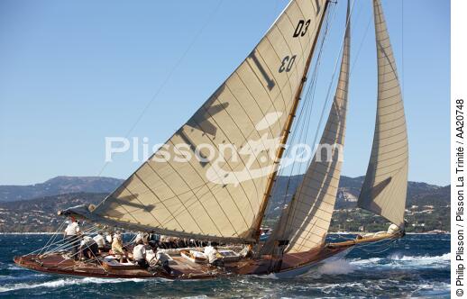 Tuiga the Voiles de Saint Tropez 2008. - © Philip Plisson / Plisson La Trinité / AA20748 - Photo Galleries - Classic Yachting