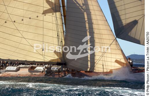 Tuiga the Voiles de Saint Tropez 2008. - © Philip Plisson / Plisson La Trinité / AA20750 - Photo Galleries - Classic Yachting