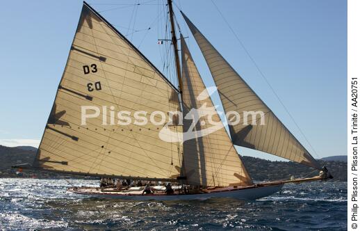 Tuiga the Voiles de Saint Tropez 2008. - © Philip Plisson / Plisson La Trinité / AA20751 - Photo Galleries - Classic Yachting