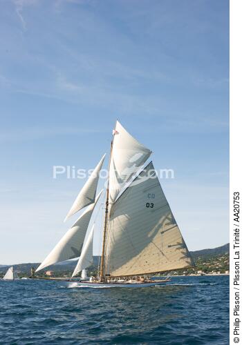Tuiga the Voiles de Saint Tropez 2008. - © Philip Plisson / Plisson La Trinité / AA20753 - Photo Galleries - Classic Yachting