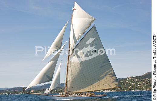 Tuiga the Voiles de Saint Tropez 2008. - © Philip Plisson / Plisson La Trinité / AA20754 - Photo Galleries - Classic Yachting