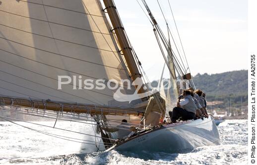 Tuiga the Voiles de Saint Tropez 2008. - © Philip Plisson / Plisson La Trinité / AA20755 - Photo Galleries - Classic Yachting