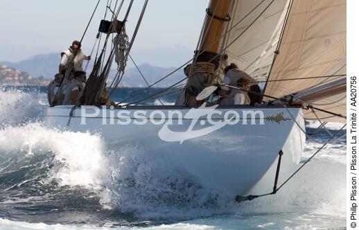 Tuiga the Voiles de Saint Tropez 2008. - © Philip Plisson / Plisson La Trinité / AA20756 - Photo Galleries - Classic Yachting