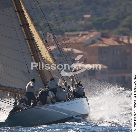 Tuiga the Voiles de Saint Tropez 2008. - © Philip Plisson / Plisson La Trinité / AA20757 - Photo Galleries - Classic Yachting