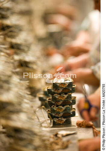 The Quiberonnaise. - © Philip Plisson / Plisson La Trinité / AA20793 - Photo Galleries - Factory
