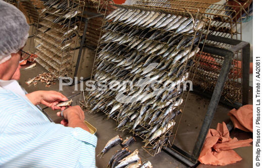La Quiberonnaise. - © Philip Plisson / Plisson La Trinité / AA20811 - Nos reportages photos - La pêche à la sardine