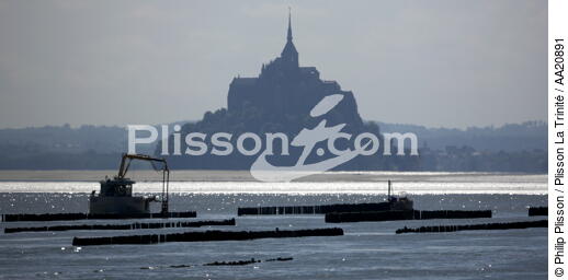 The Mont Saint-Michel. - © Philip Plisson / Plisson La Trinité / AA20891 - Photo Galleries - Shellfish farming