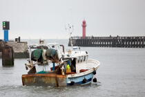 Boulogne. © Philip Plisson / Plisson La Trinité / AA20959 - Nos reportages photos - Bateau de pêche
