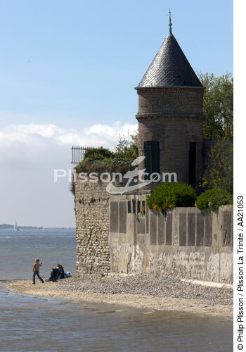 The Crotoy. - © Philip Plisson / Plisson La Trinité / AA21053 - Photo Galleries - From Dunkerque to la Baie de Somme