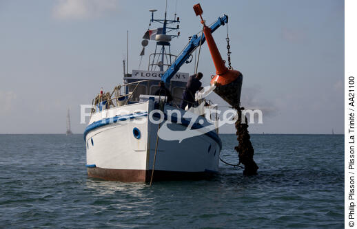 Buoytender. - © Philip Plisson / Plisson La Trinité / AA21100 - Photo Galleries - Trinty House boat