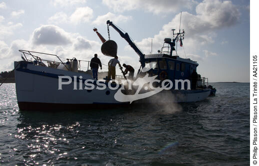 Buoytender. - © Philip Plisson / Plisson La Trinité / AA21105 - Photo Galleries - Trinty House boat