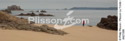 L'île de Cézembre devant Saint-Malo. - © Philip Plisson / Plisson La Trinité / AA21598 - Nos reportages photos - Conchée [la]