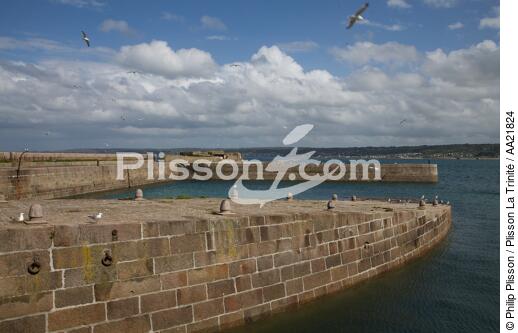 Le fort de l'île Pelée devant Cherbourg. - © Philip Plisson / Plisson La Trinité / AA21824 - Nos reportages photos - Monument historique