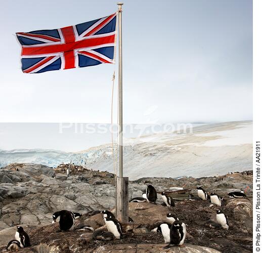 Port Lockroy in Antarctica. - © Philip Plisson / Plisson La Trinité / AA21911 - Photo Galleries - Flag