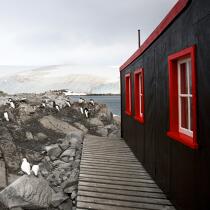 Port Lockroy en Antarctique. © Philip Plisson / Plisson La Trinité / AA21913 - Nos reportages photos - Format carré