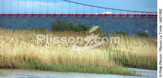 Bord de Seine. - © Philip Plisson / Plisson La Trinité / AA21992 - Photo Galleries - Suspended bridge