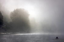 Mist on the River Seine. © Philip Plisson / Plisson La Trinité / AA22033 - Photo Galleries - Mist