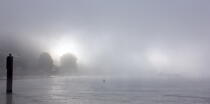 Brume sur la Seine. © Philip Plisson / Plisson La Trinité / AA22034 - Nos reportages photos - Brume