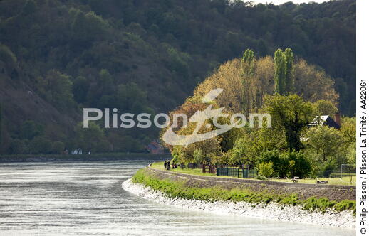 Near Jumièges - © Philip Plisson / Plisson La Trinité / AA22061 - Photo Galleries - From Tréport to the Seine Estuary