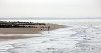 Line fishing in Cabourg © Philip Plisson / Pêcheur d’Images / AA22303 - Photo Galleries - Town [14]