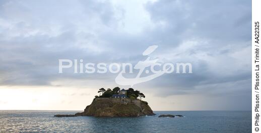 L'île Du Guesclin près de Saint-Malo. - © Philip Plisson / Plisson La Trinité / AA22325 - Nos reportages photos - Ile [35]